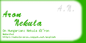 aron nekula business card